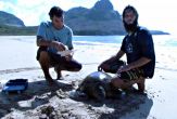 Lourival Dutra e Luís Felipe, biólogos do Tamar, coletam dados de tartaruga-verde em Noronha