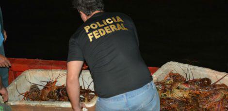 O flagrante foi feito durante fiscalizações de rotina no Porto do Recife / PF/Divulgação
