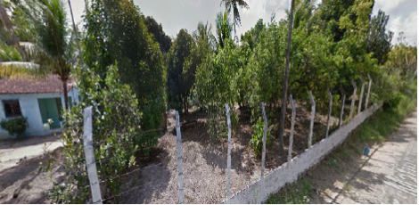 O incidente aconteceu no Sítio São João, área rural de Abreu e Lima, Região Metropolitana do Recife / Foto: Reprodução / Google Street View