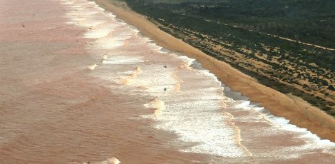 A lama com rejeitos de minério atingiu o mar neste domingo e se espalhou por uma extensão de cerca de 10 quilômetros no litoral do Espírito Santo / Foto: Paulo de Araujo /MMA