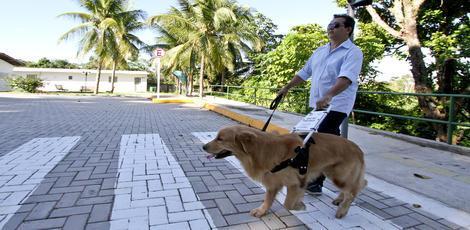 Multa mínima para estabelecimento que dificultar acesso do cão-guia é de R$ 1 mil / Foto: Sérgio Bernardes/JC Imagem