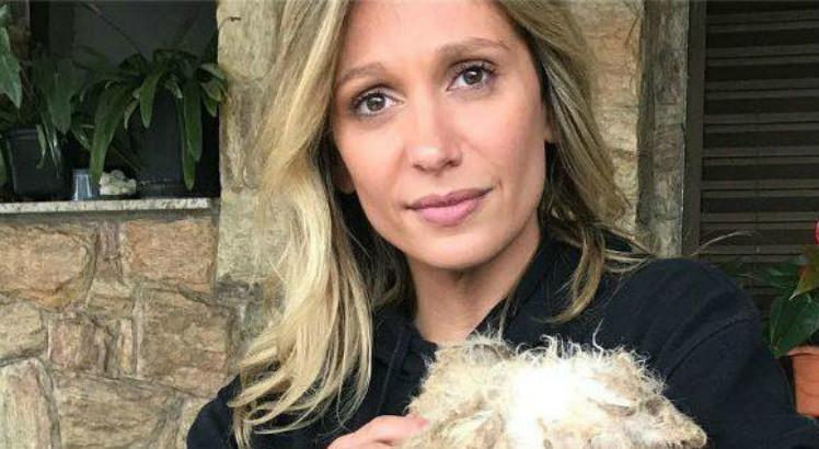 Luisa Mell pede ajuda para cuidar dos cães após o resgate / Instagram/Reprodução