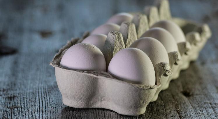No ano passado, Pernambuco produziu 10 milhões de ovos por dia / Foto: Pixabay