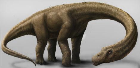 Cientistas descobrem na Argentina esqueleto de dinossauro 'mais completo'
