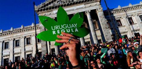 Resultado de imagem para Uruguai começa a cadastrar consumidores de maconha legalizada