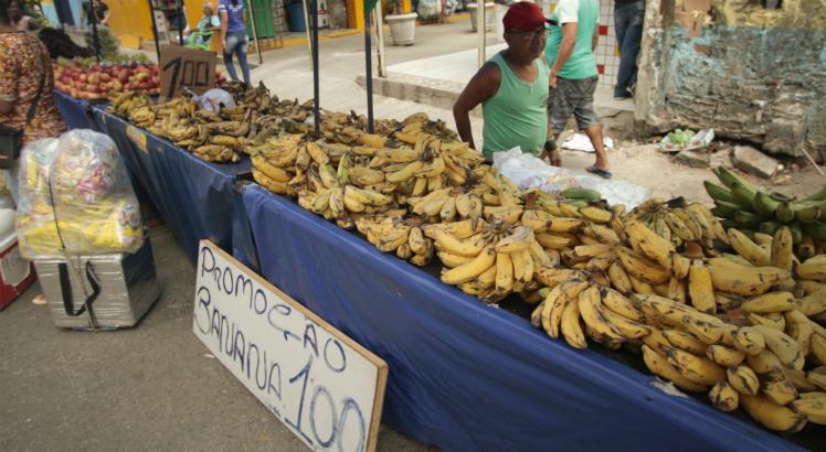 No Recife, palma de banana jÃ¡ Ã© vendida a R$ 1 apÃ³s superssafra causada por chuvas na Zona da Mata / Foto: Felipe Ribeiro/JC Imagem