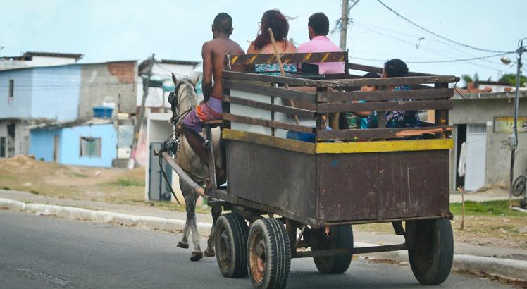 TJ e MPPE pedem recolhimento dos animais e inserção dos carroceiros no mercado de trabalho / Foto: Sérgio Bernardo / JC Imagem