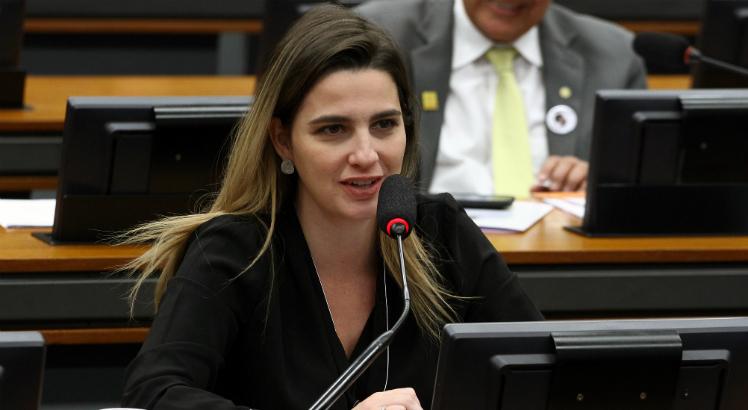 Foto: Vinicius Loures/Câmara dos Deputados
