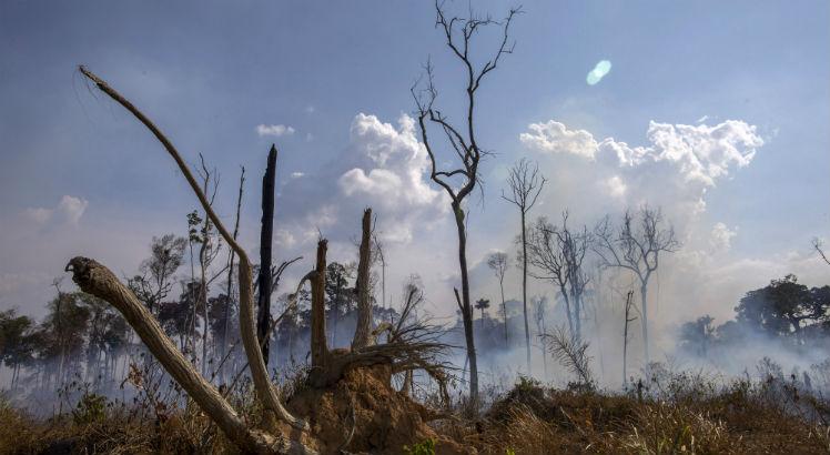 Na última sexta-feira (23), o presidente Jair Bolsonaro autorizou o uso das Forças Armadas no combate aos incêndios na região / Foto: JOAO LAET / AFP