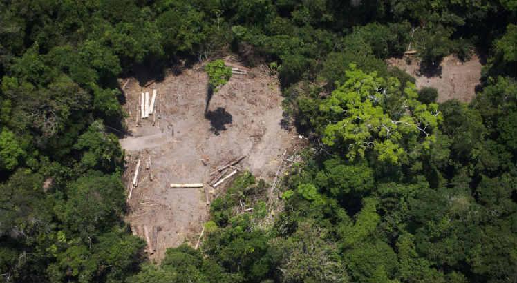 Inpe estima em 9.762 km² desmatamento na Amazônia Legal em um ano