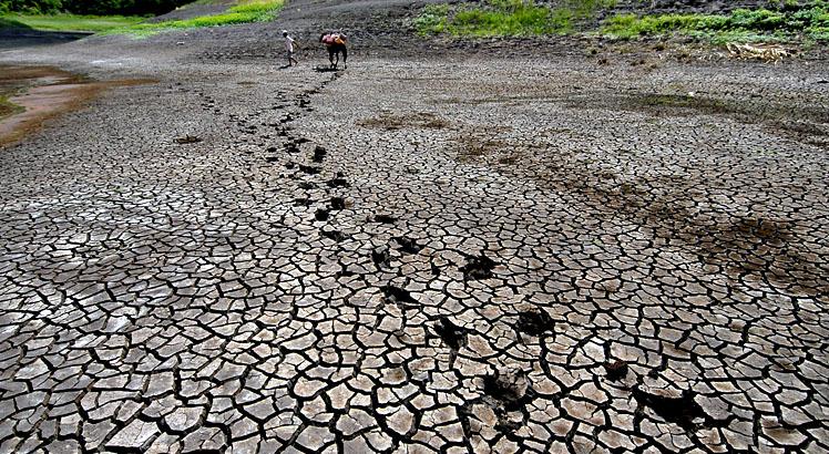 O Agreste é conhecido como a região de maior déficit hídrico de Pernambuco / Foto: Alexandre Gondim/JC Imagem
